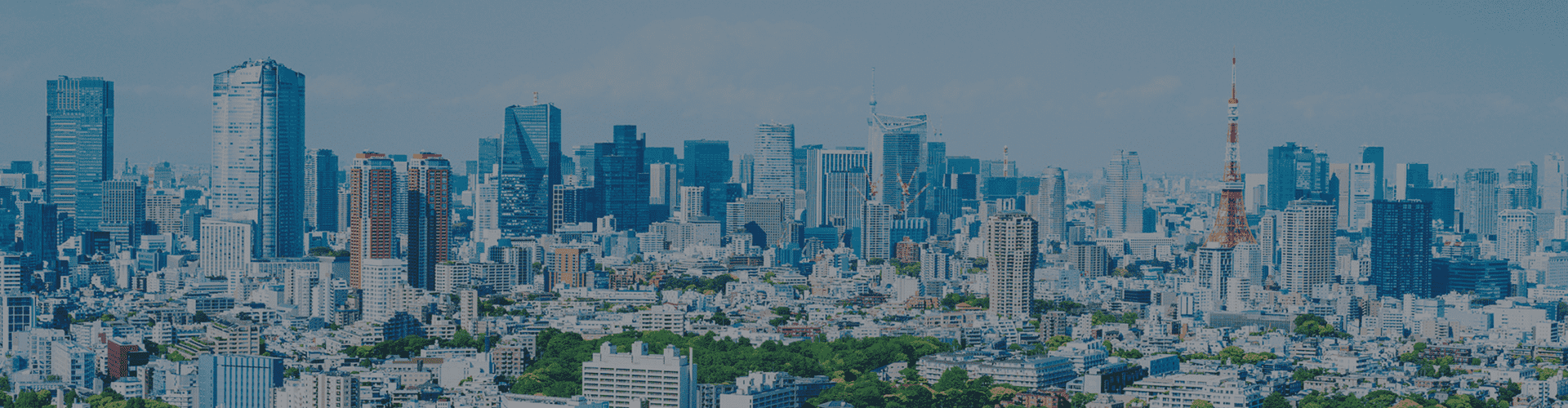 会社情報