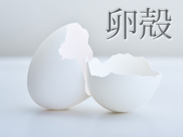 卵殻